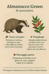 Almanacco Green 18 novembre: il tasso e il pungitopo, la forza silenziosa del bosco