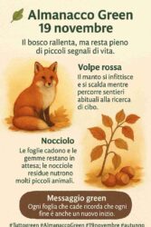 Almanacco Green del 19 novembre: la volpe e il nocciolo, la bellezza dei cambiamenti naturali