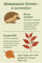 🌿 Almanacco Green del 4 novembre: il riccio e il sanguinello, la natura che si prepara al riposo