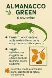 Almanacco Green del 6 novembre: il ramarro e il faggio, due simboli di equilibrio e rinascita nei boschi d’autunno