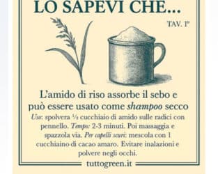 Addio capelli grassi: il segreto è l’amido di riso (e non serve acqua!)