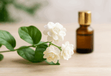 gelsomino d'arabia o gelsomino sambac