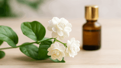 gelsomino d'arabia o gelsomino sambac