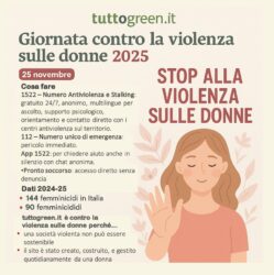 Giornata internazionale contro la violenza sulle donne