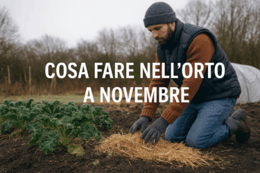 Cosa fare nell’orto a novembre: lavori, semine e protezioni per l’inverno