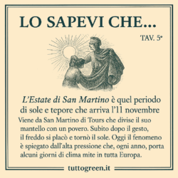 Estate di San Martino: che cos’è e perché si celebra l’11 novembre
