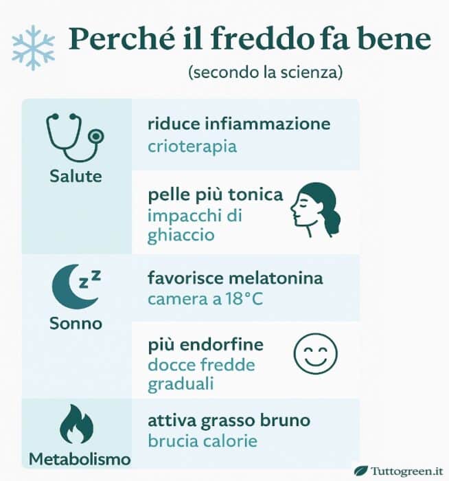 Il freddo che fa bene: quando le basse temperature diventano alleate di salute e bellezza