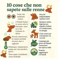 10 curiosità sorprendenti sulle renne che non immaginate davvero