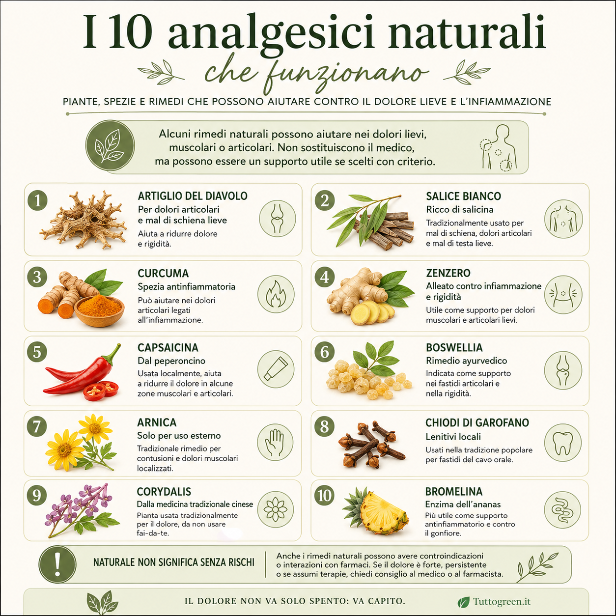 Infografica quadrata sui 10 analgesici naturali che funzionano, con piante, spezie e rimedi come artiglio del diavolo, salice bianco, curcuma, zenzero, capsaicina, boswellia, arnica, chiodi di garofano, corydalis e bromelina
