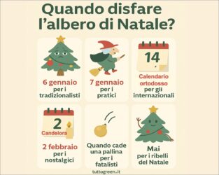 Quando disfare l’albero di Natale: tradizioni, superstizioni e… personalità