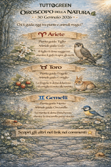 Oroscopo 30 gennaio 2026