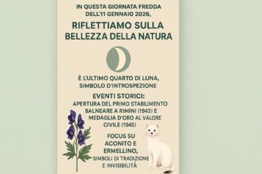 Almanacco del 11 gennaio 2026