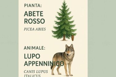 Almanacco del 22 gennaio 2026