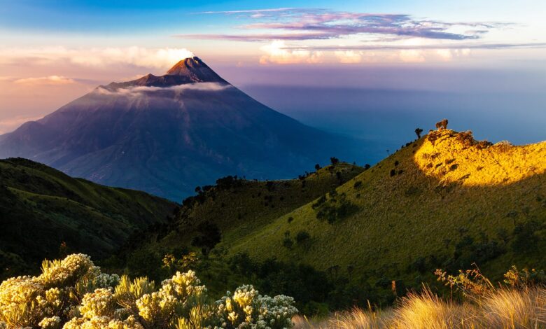 Foto di Kanenori su Pixabay