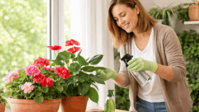 Piante che fioriscono tutto l’anno: le 10 più belle (e come