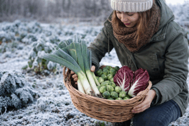 Gli ortaggi che resistono al gelo e come coltivarli con successo