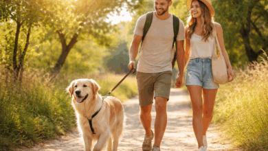 Come fare vacanze senza stress con il nostro pet