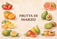 Illustrazione in stile acquerello della frutta di stagione di marzo con fragole, arance tardive, limoni, pompelmi, kiwi, avocado italiano, cedro, bergamotto, pere, melagrana e nespole su sfondo chiaro