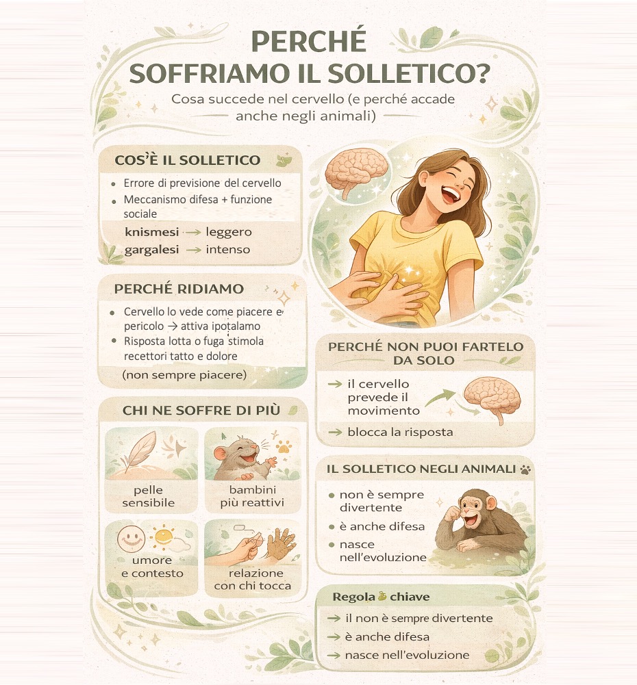 Infografica sul solletico che spiega perché ridiamo, come funziona nel cervello e se esiste anche negli animali