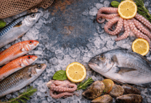 Pesce fresco su ghiaccio con sardine, triglie, orata e polpo, esempio di varietà di pesce sostenibile e di stagione