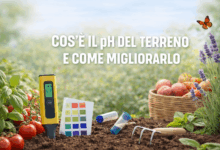Cos’è il pH del terreno e come migliorarlo nell’orto