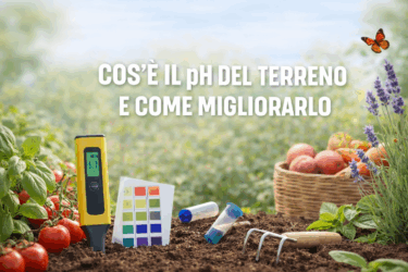 pH del terreno dell’orto: cos’è davvero e come migliorarlo (con metodi semplici e naturali)
