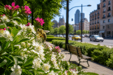 🐝 Il miele di città è davvero migliore? La verità sulle api urbane che (quasi) nessuno conosce