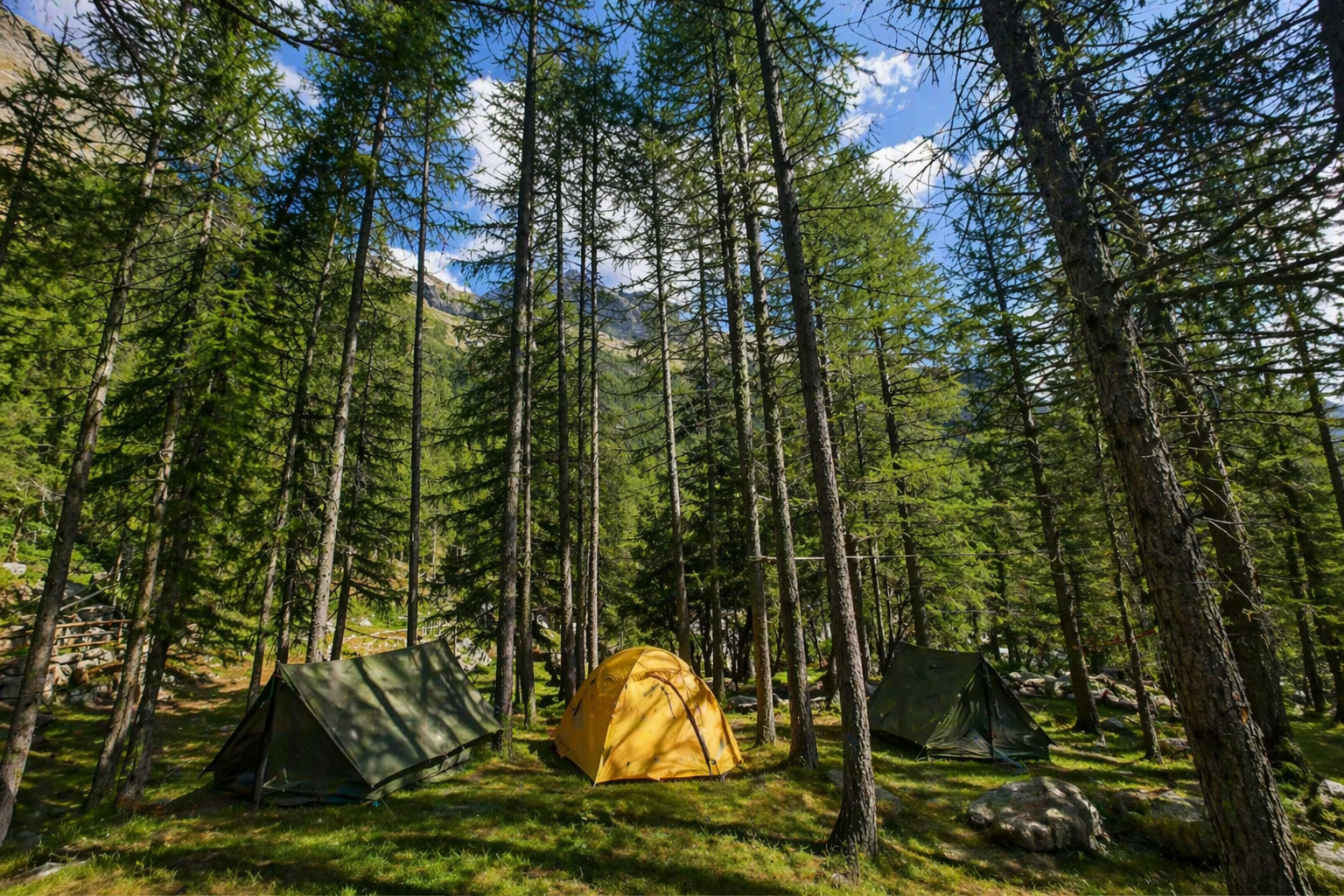 Tre tende da campeggio nel bosco di montagna tra alberi e natura incontaminata in un parco naturale italiano