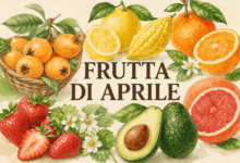 Illustrazione della frutta di stagione di aprile con fragole, nespole, limoni, arance, pompelmo e avocado su sfondo chiaro in stile acquerello