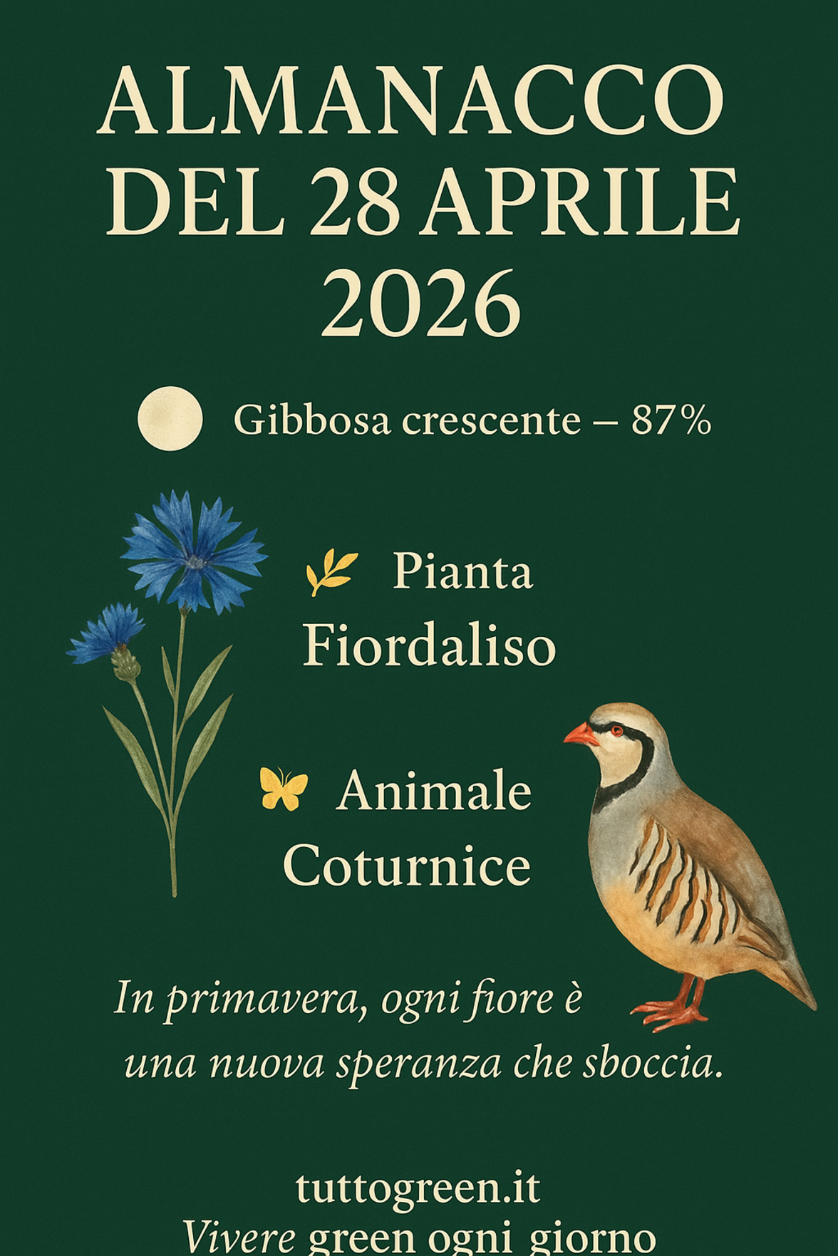 Infografica Almanacco del 28 aprile 2026 — Fiordaliso e Coturnice