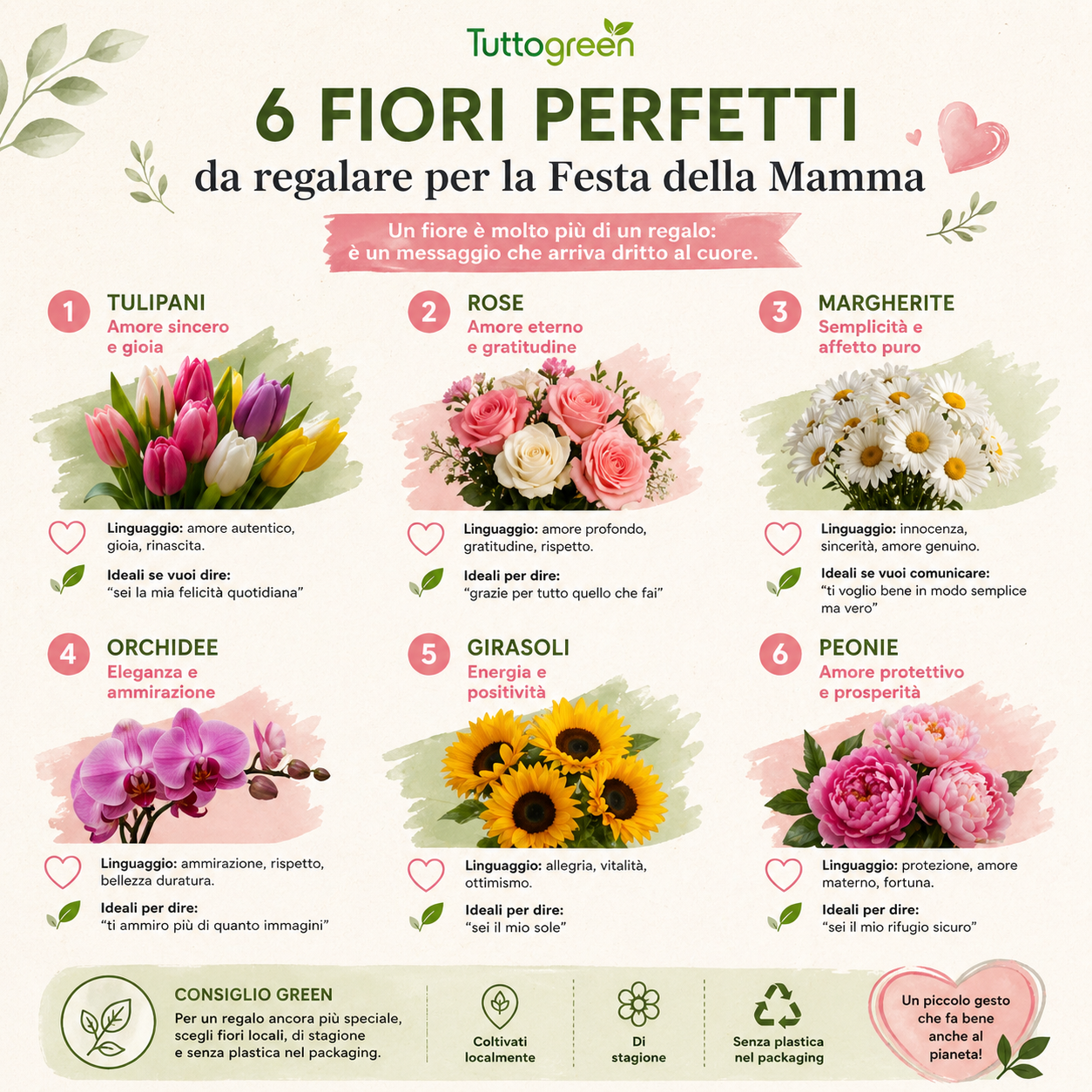 Infografica con 6 fiori da regalare per la Festa della Mamma e il loro significato: tulipani, rose, margherite, orchidee, girasoli e peonie