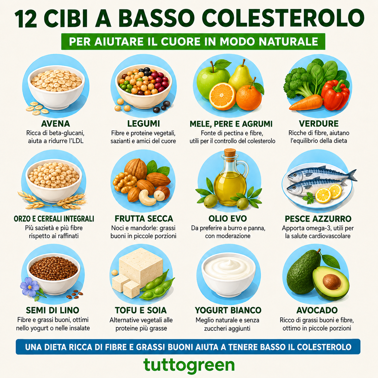 Infografica Tuttogreen con 12 cibi a basso colesterolo, tra cui avena, legumi, mele, pere, agrumi, verdure, olio EVO, pesce azzurro, semi di lino e avocado