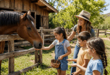 Bambini in una fattoria didattica che porgono della biada a un cavallo dentro una recinzione, accompagnati da un’educatrice in un ambiente rurale all’aperto
