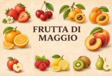 Frutta di stagione di maggio in Italia con fragole, ciliegie, nespole e pesche su sfondo naturale stile illustrato