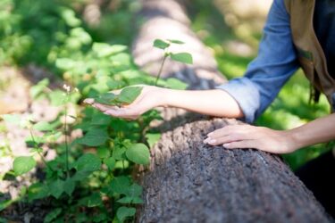 La natura come medicina: l’OMS promuove le green prescription e la scienza conferma che stare all’aperto fa bene quanto molte terapie