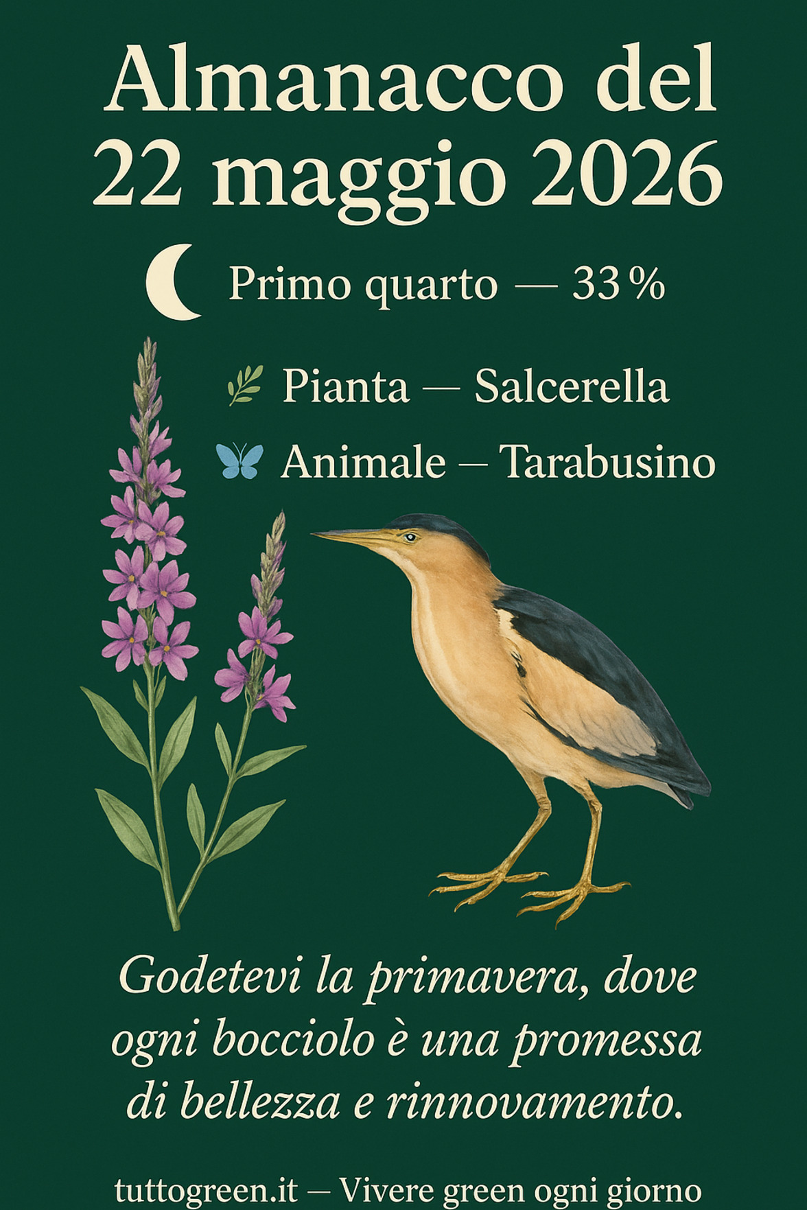 Infografica Almanacco del 22 maggio 2026 — Salcerella e Tarabusino
