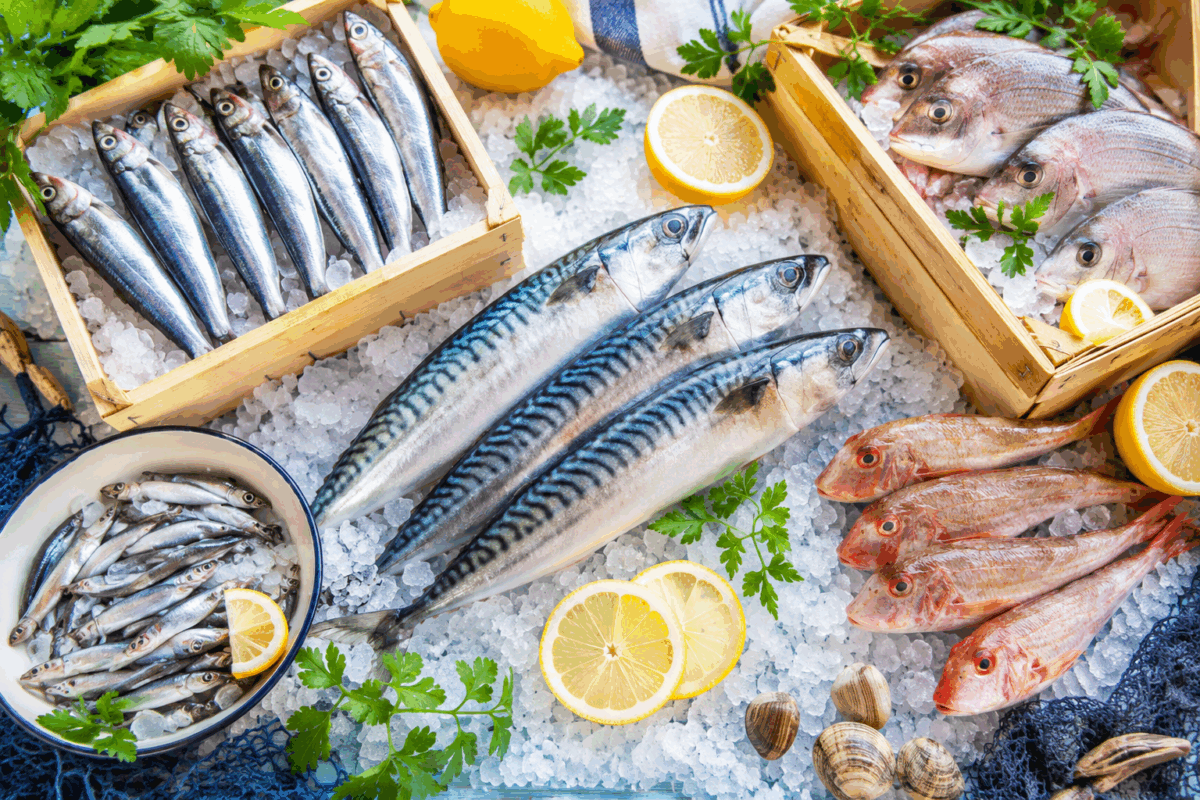 Pesce sostenibile di maggio con alici, sgombro e sardine fresche su ghiaccio con limoni ed erbe aromatiche