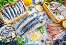 Pesce sostenibile di maggio con alici, sgombro e sardine fresche su ghiaccio con limoni ed erbe aromatiche