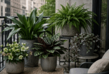 Balcone urbano in ombra con vasi grigi in metallo, cemento e plastica contenenti aspidistria, elleboro, calathea, felce e tradescantia