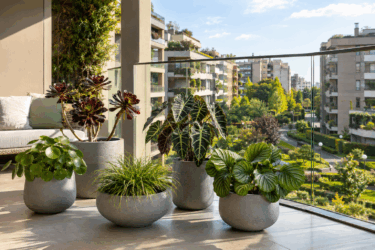 Tutti scelgono i gerani, ma queste 5 piante rendono il balcone molto più moderno
