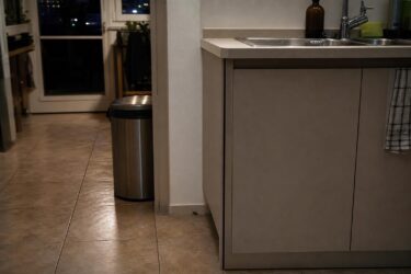 Blatte in casa: dove si nascondono e i rimedi che funzionano davvero