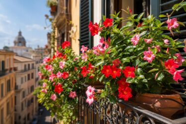 Dipladenia sul balcone: la pianta che ama il sole e fiorisce a lungo