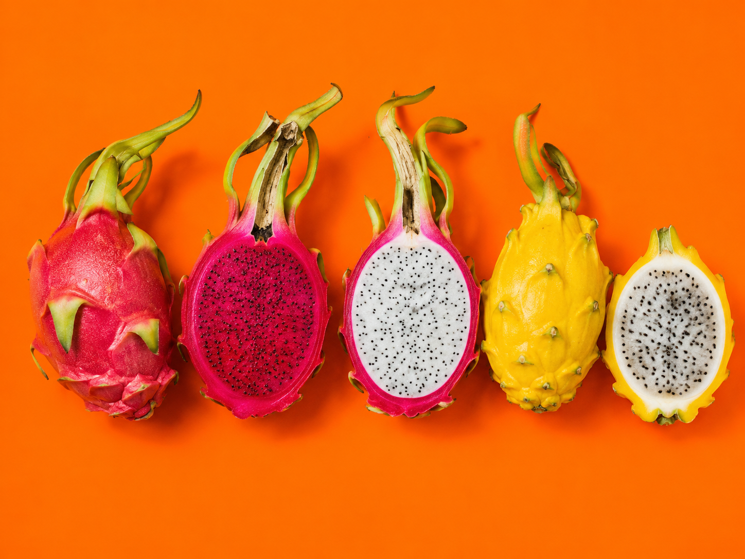 Alcuni frutti del drago su sfondo arancione fluo con una pitaya rossa intera, una a polpa rossa tagliata a metà, una a polpa bianca tagliata a metà, una pitaya gialla intera e una gialla a metà con polpa bianca