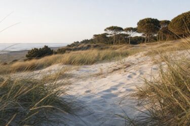 Le dune bianche vicino Venezia dove il cinema incontra la natura