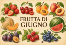 Illustrazione vintage della frutta di stagione di giugno con fragole, ciliegie, albicocche, pesche, melone, anguria, susine, lamponi e mirtilli