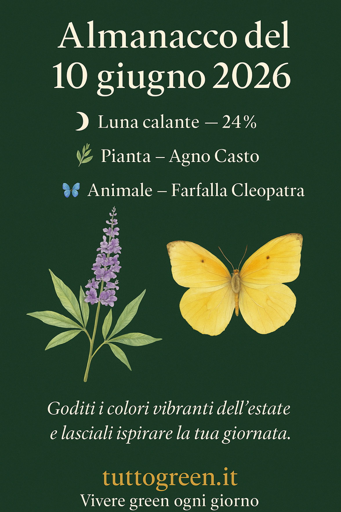 Infografica Almanacco del 10 giugno 2026 — Agno Casto e Farfalla Cleopatra
