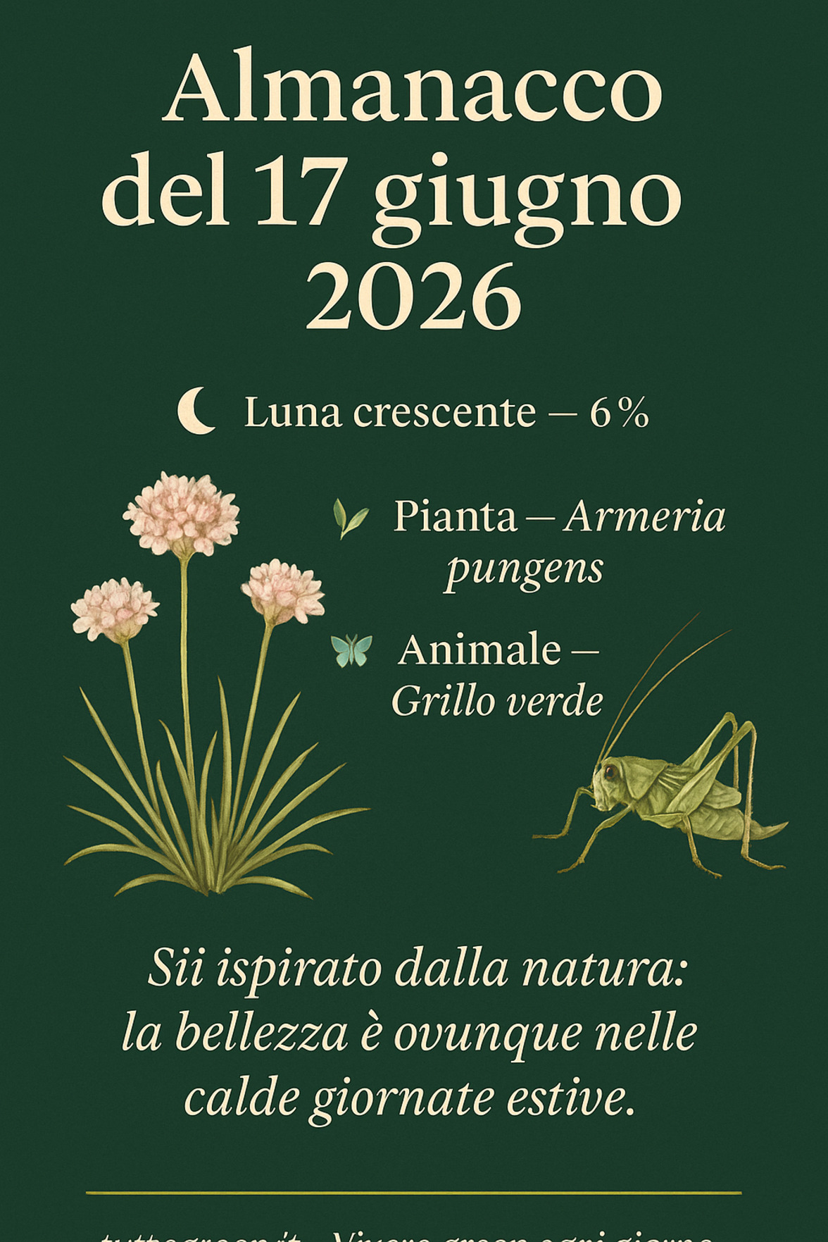 Infografica Almanacco del 17 giugno 2026 — Armeria pungens e Grillo verde