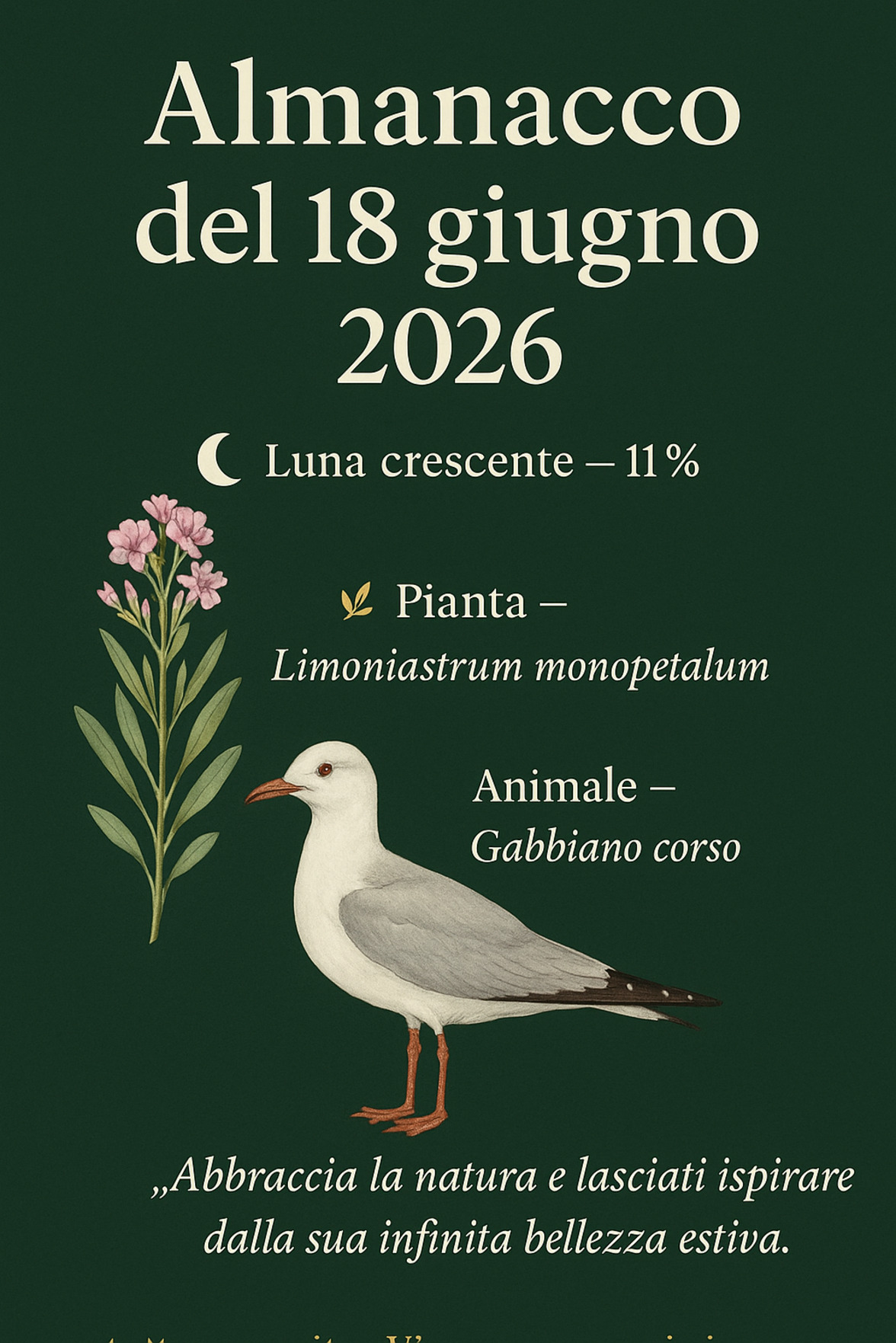 Infografica Almanacco del 18 giugno 2026 — Limoniastrum monopetalum e Gabbiano corso