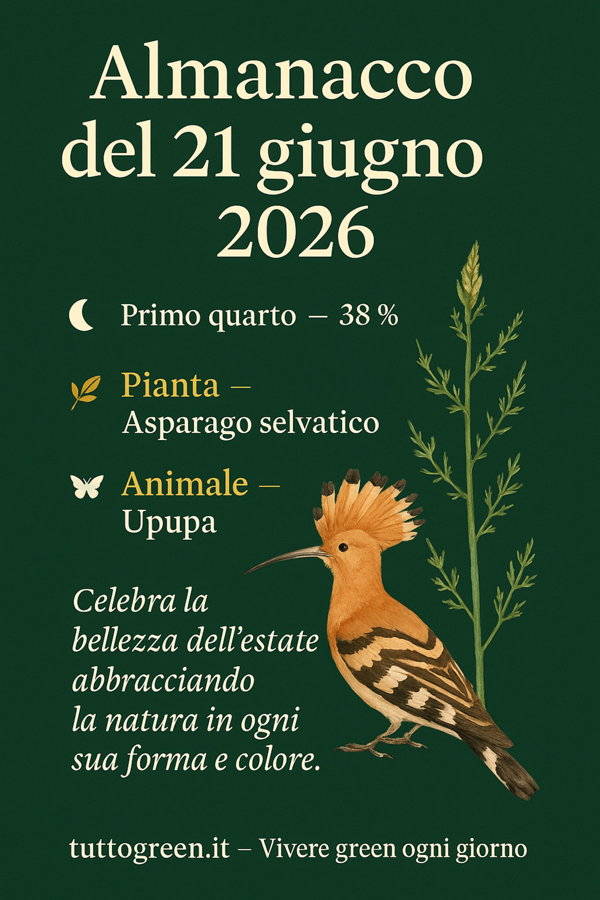 Infografica Almanacco del 21 giugno 2026 — Asparago selvatico e Upupa