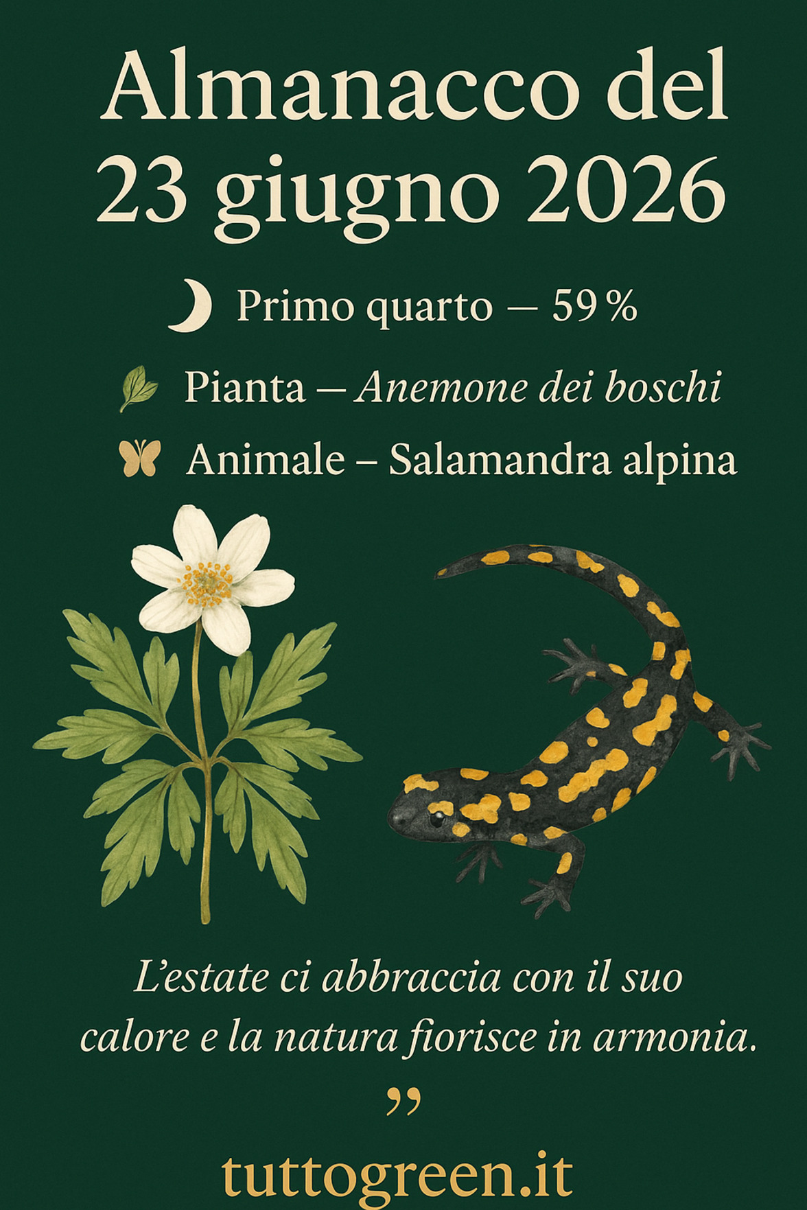 Infografica Almanacco del 23 giugno 2026 — Anemone dei boschi e Salamandra alpina